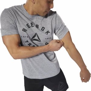 Koszulki Męskie Reebok GS Training Speedwick Szare PL 63MPILX